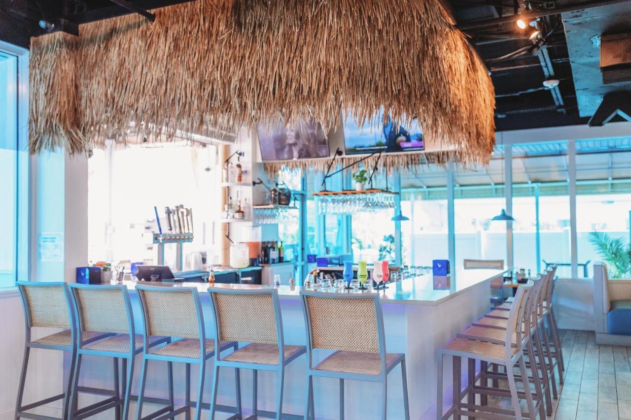 Winter The Dolphin'S Beach Club, Ascend Hotel Collection クリアウォーター・ビーチ エクステリア 写真