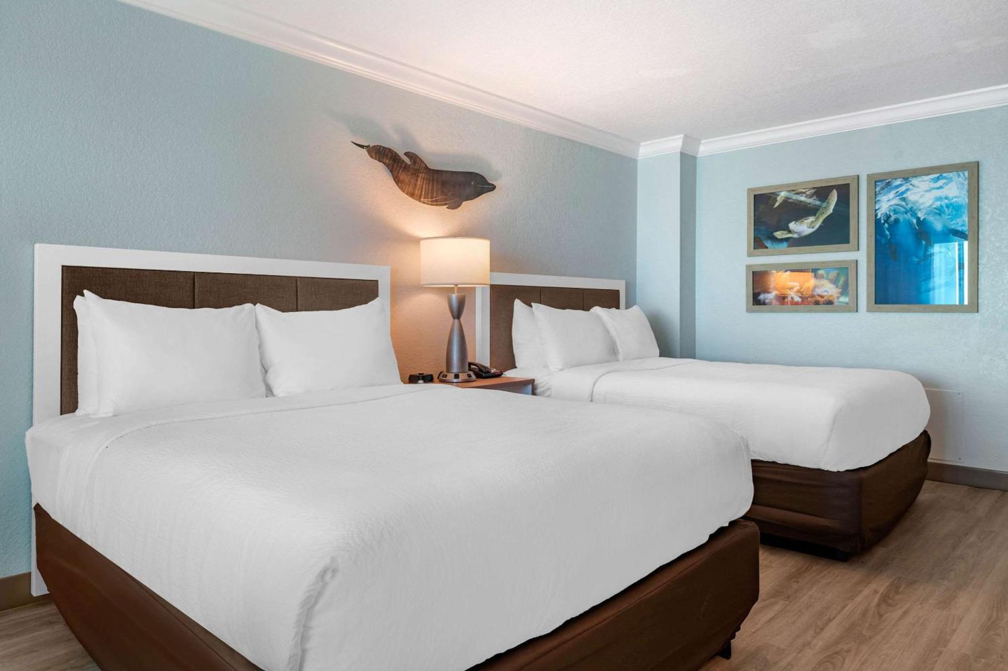 Winter The Dolphin'S Beach Club, Ascend Hotel Collection クリアウォーター・ビーチ エクステリア 写真