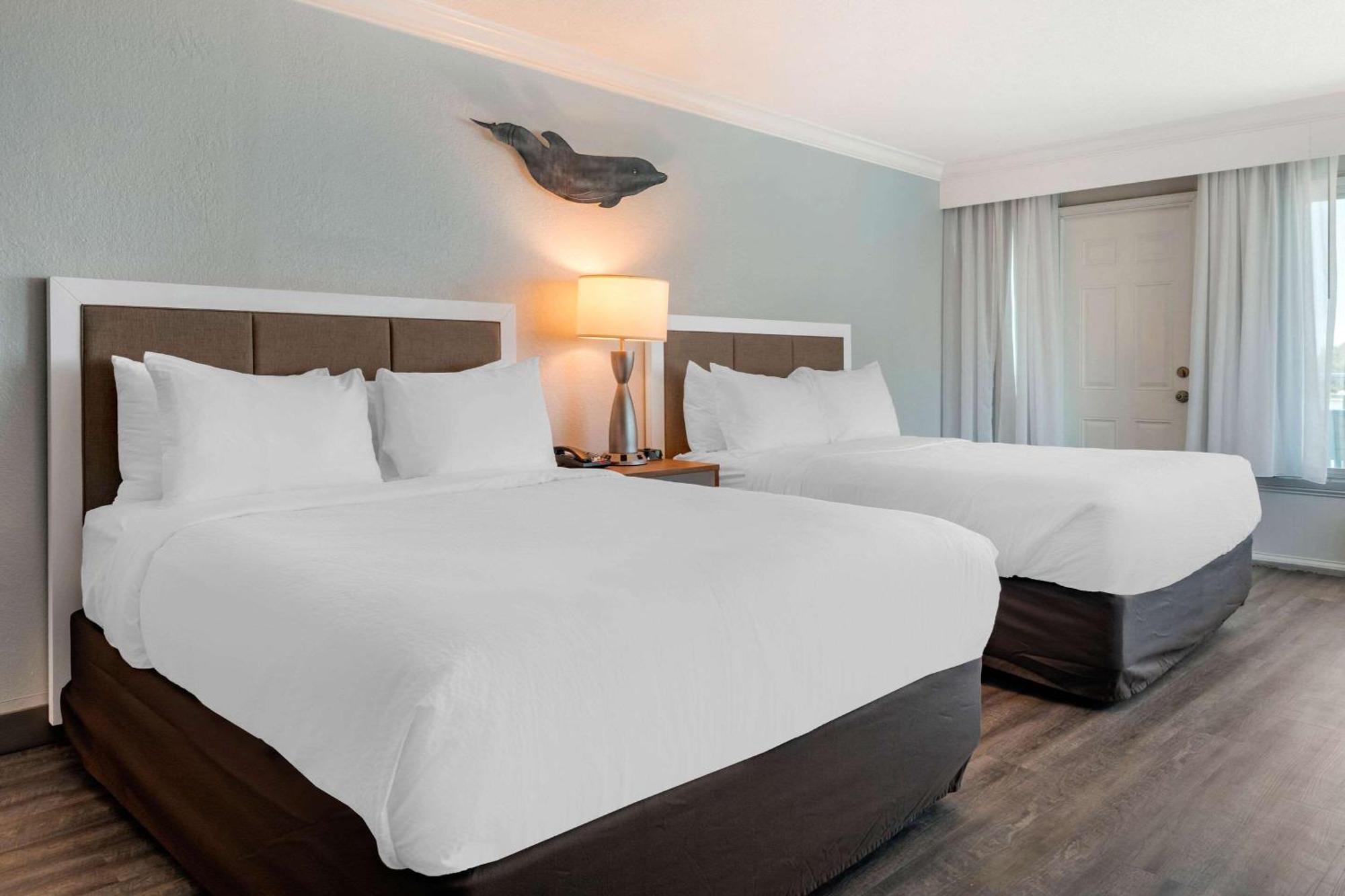 Winter The Dolphin'S Beach Club, Ascend Hotel Collection クリアウォーター・ビーチ エクステリア 写真