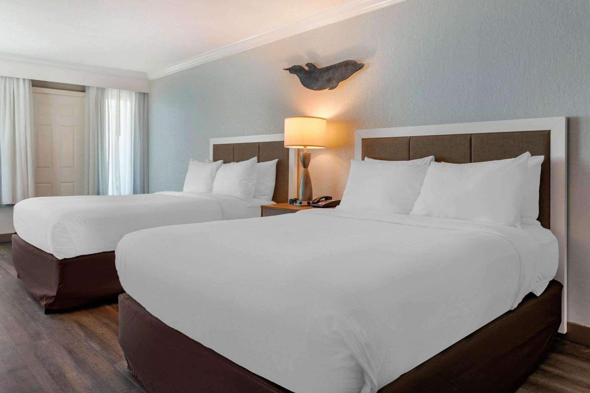 Winter The Dolphin'S Beach Club, Ascend Hotel Collection クリアウォーター・ビーチ エクステリア 写真