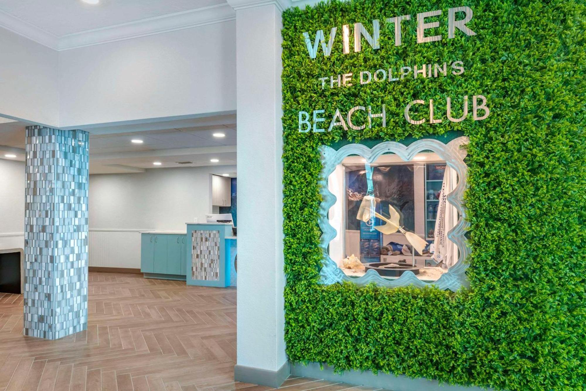Winter The Dolphin'S Beach Club, Ascend Hotel Collection クリアウォーター・ビーチ エクステリア 写真